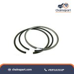 رینگ موتور اس دبلیو ام SWM