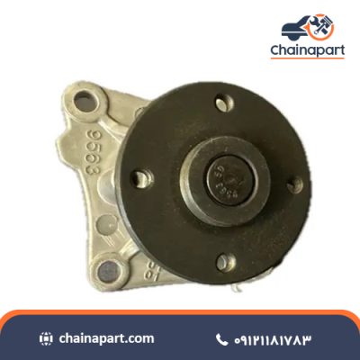 واتر پمپ اس دبلیو ام SWM