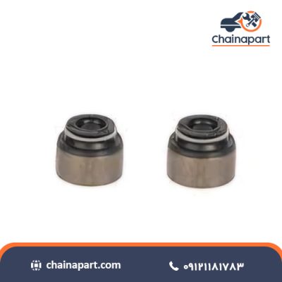 لاستیک ساق سوپاپ اس دبلیو ام SWM