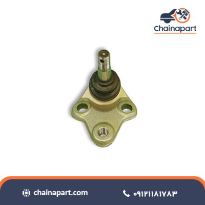 سیبک طبق فیدلیتی پرایم